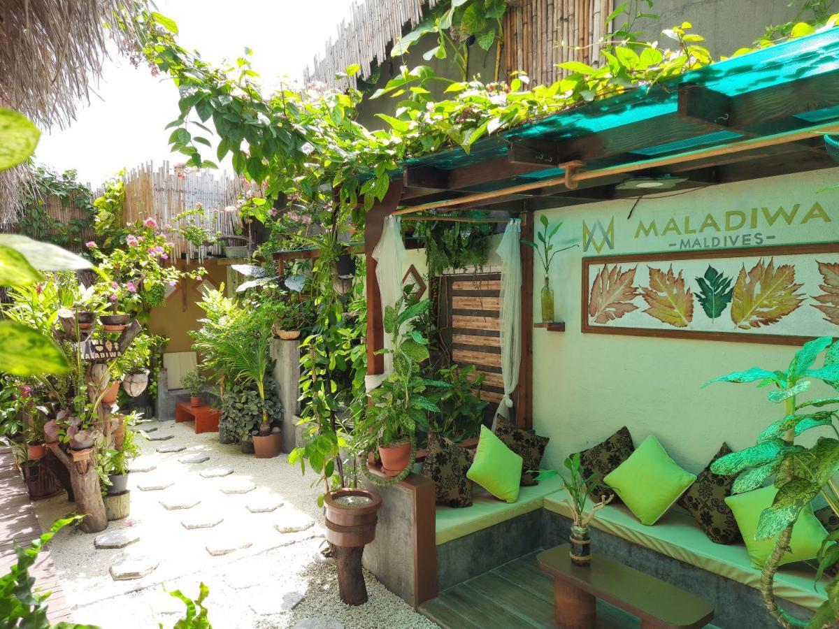Maladiwa Beach & Spa Maafushi Exteriér fotografie
